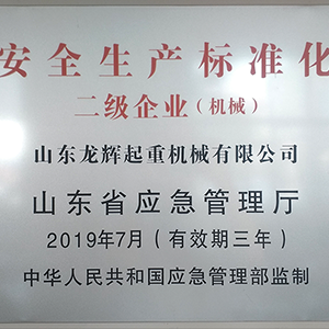 山東龍輝起重機械有限公司榮獲“安全生產(chǎn)標準化二級企業(yè)”榮譽(yù)稱(chēng)號